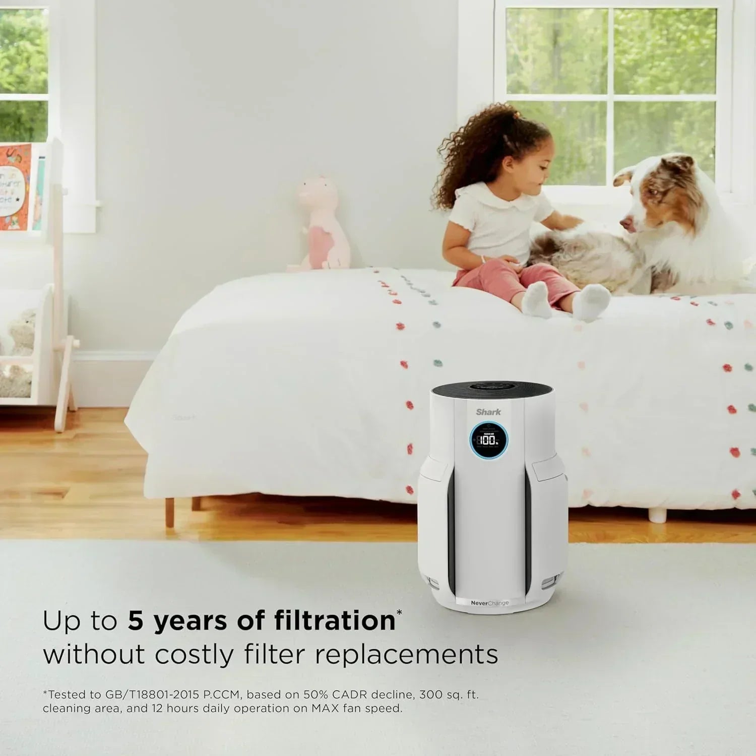 Air Purifier Compact Pro with Long-lasting HEPA Exceeding Filtration For Pet Dander Dust Smoke