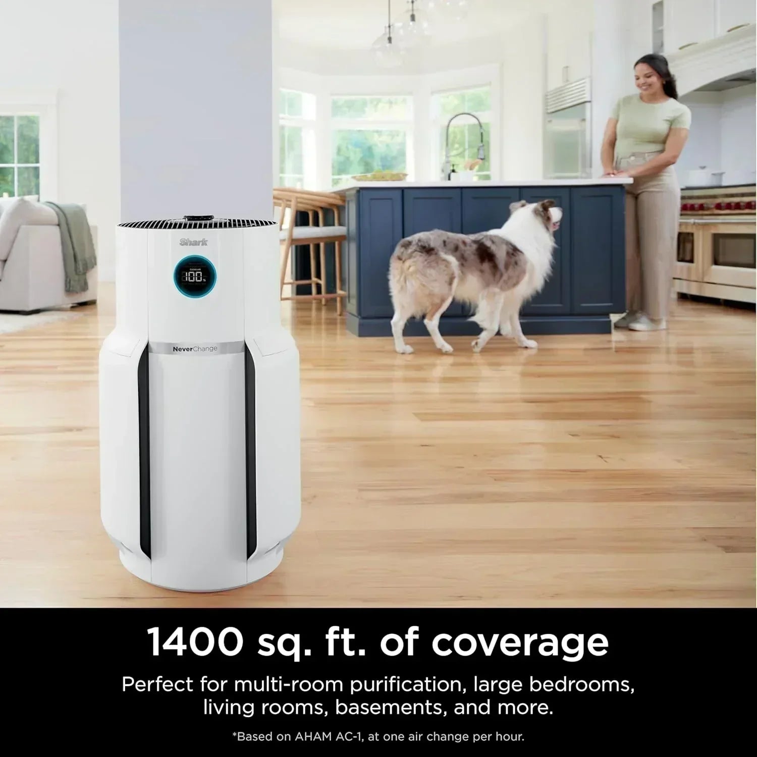 Air Purifier Compact Pro with Long-lasting HEPA Exceeding Filtration For Pet Dander Dust Smoke